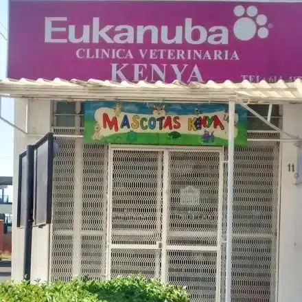 Veterinarias En Celaya