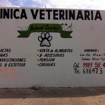 Veterinarias En Chetumal