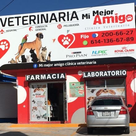 Veterinarias En Chihuahua