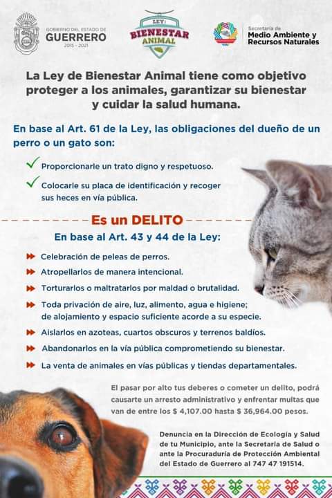 Veterinarias En Chilpancingo De Los Bravo