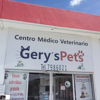 Veterinarias En Cholula De Rivadavia