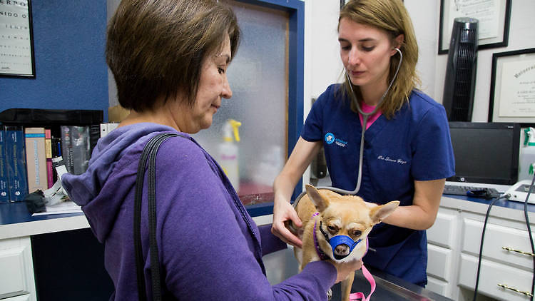 Veterinarias en Ciudad De México