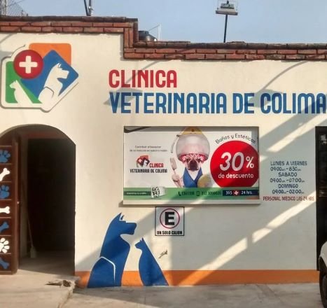 Veterinarias En Ciudad De Villa De Álvarez