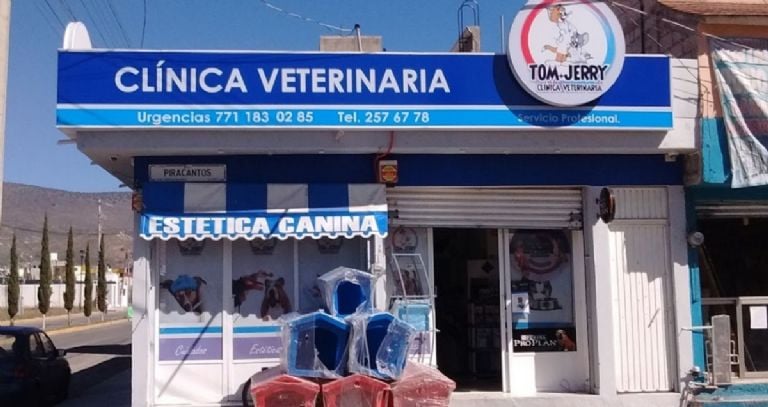 Veterinarias En Ciudad Hidalgo