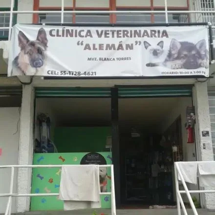 Veterinarias En Ciudad López Mateos