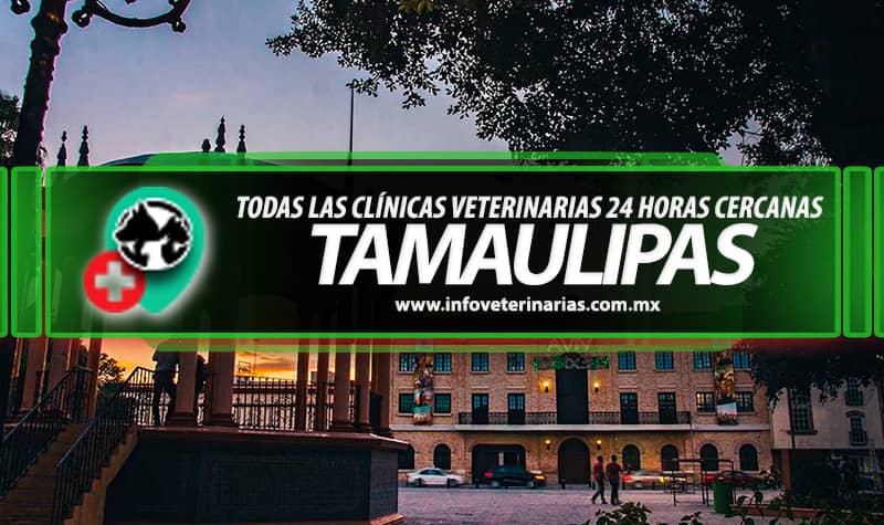 Veterinarias En Ciudad Madero