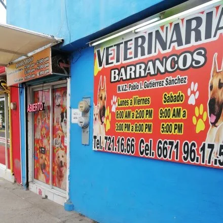 Veterinarias En Culiacán Rosales