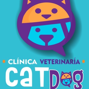 Veterinarias En Dolores Hidalgo Cuna De La Independencia Nacional