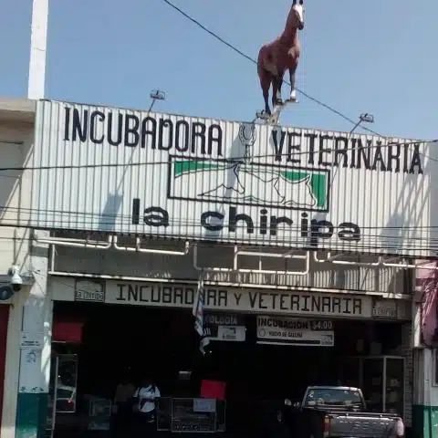 Veterinarias En Ecatepec De Morelos