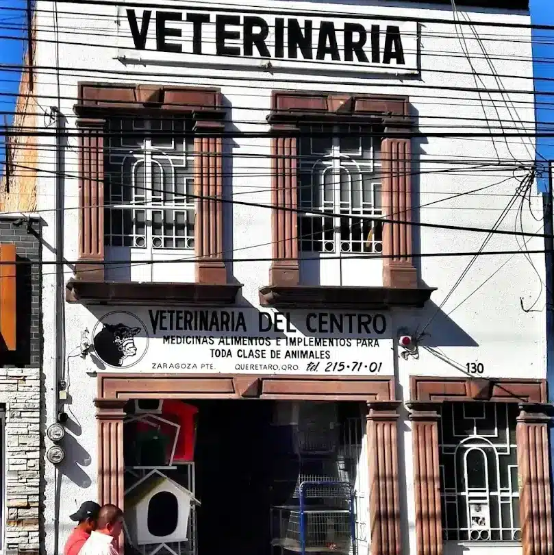 Veterinarias En El Pueblito