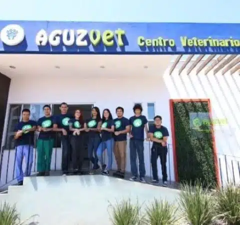 Veterinarias En Ensenada