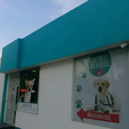 Veterinarias En Guadalajara