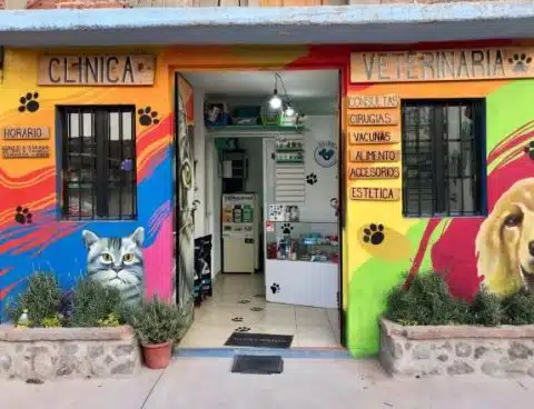 Veterinarias en Guanajuato