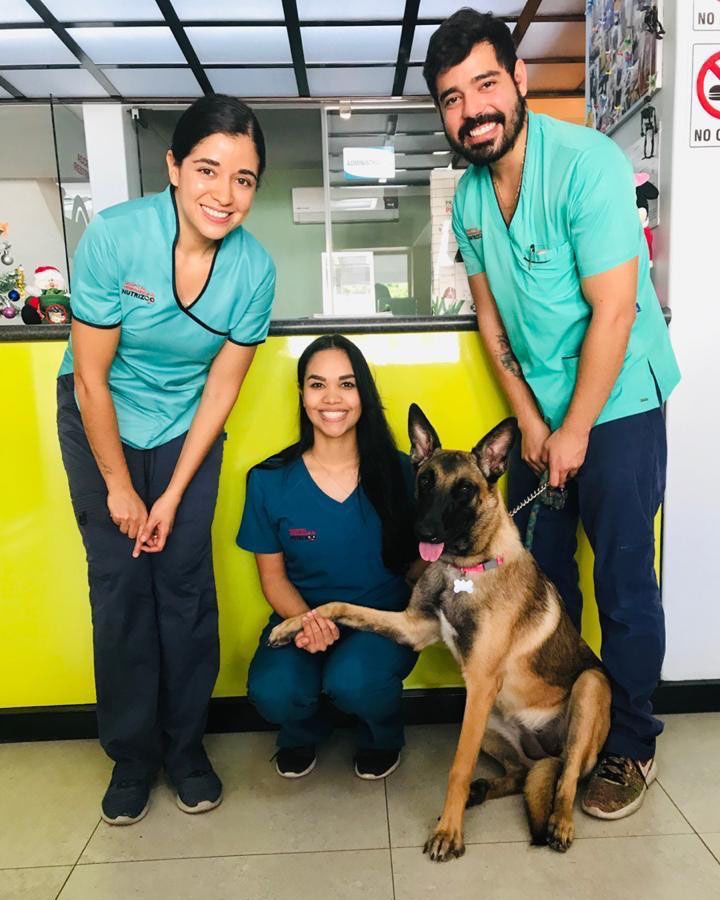 Veterinarias en Guerrero