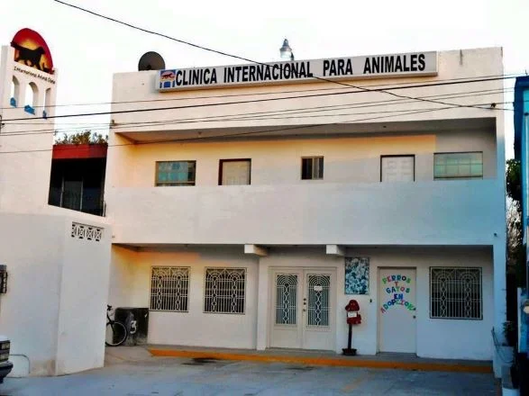 Veterinarias En Heroica Matamoros