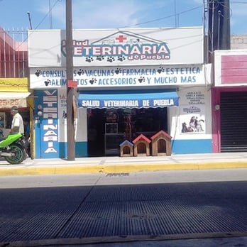 Veterinarias En Heroica Puebla De Zaragoza