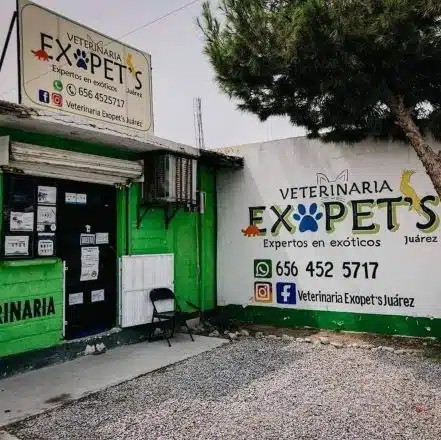 Veterinarias En Juárez