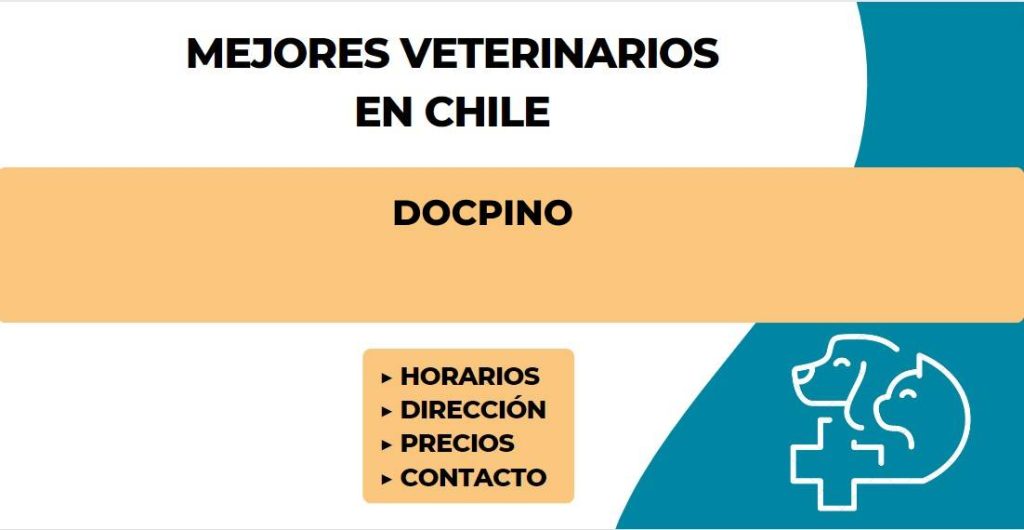 Veterinarias En Linares