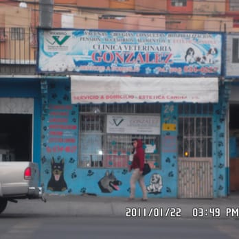 Veterinarias En Loma Bonita