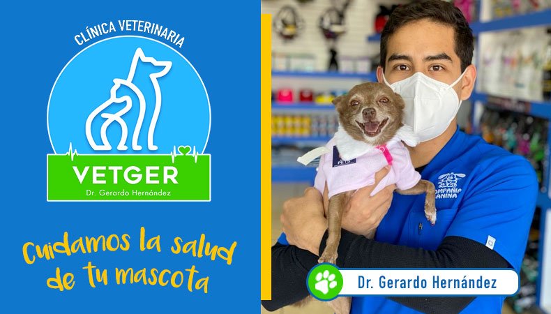 Veterinarias En Maravatío