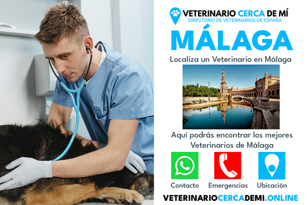 Veterinarias En Martínez De La Torre