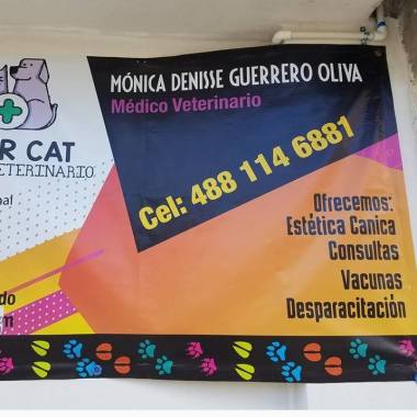 Veterinarias En Matehuala