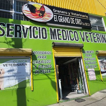 Veterinarias En Melchor Ocampo