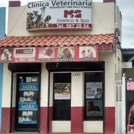 Veterinarias En Mexicali