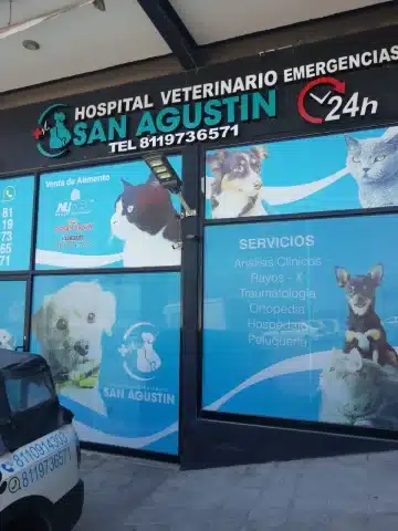 Veterinarias En Monterrey