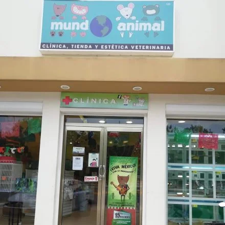 Veterinarias En Playa Del Carmen