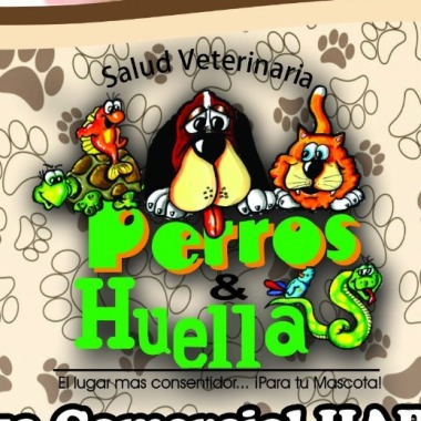 Veterinarias En San Antonio Tecómitl