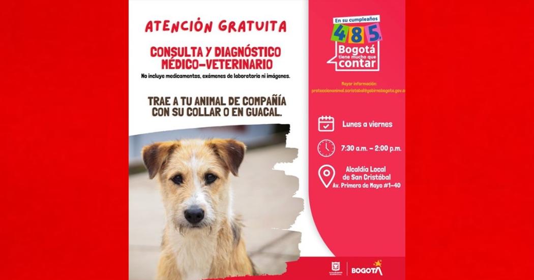 Veterinarias En San Cristóbal De Las Casas