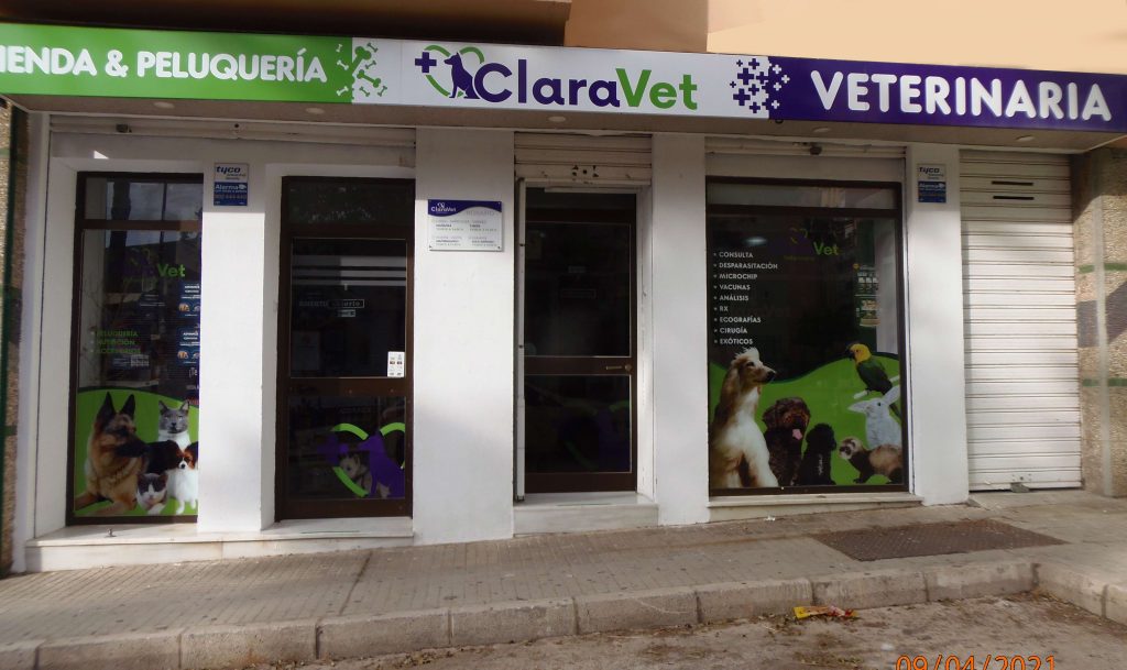 Veterinarias En San Fernando