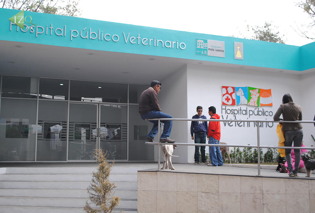 Veterinarias En San Jerónimo Cuatro Vientos