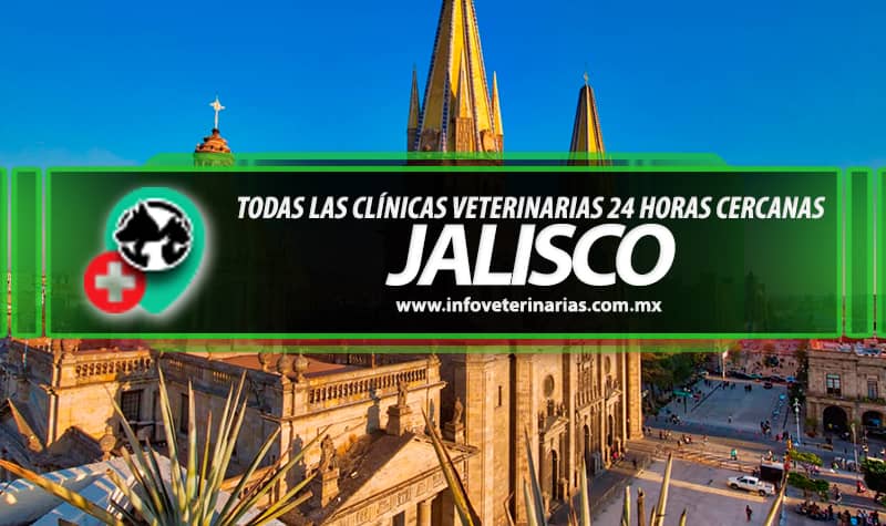 Veterinarias En San Juan De Los Lagos