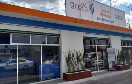 Veterinarias En San Mateo Atenco