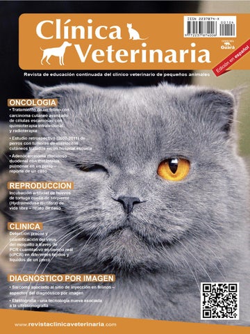 Veterinarias En San Pablo De Las Salinas