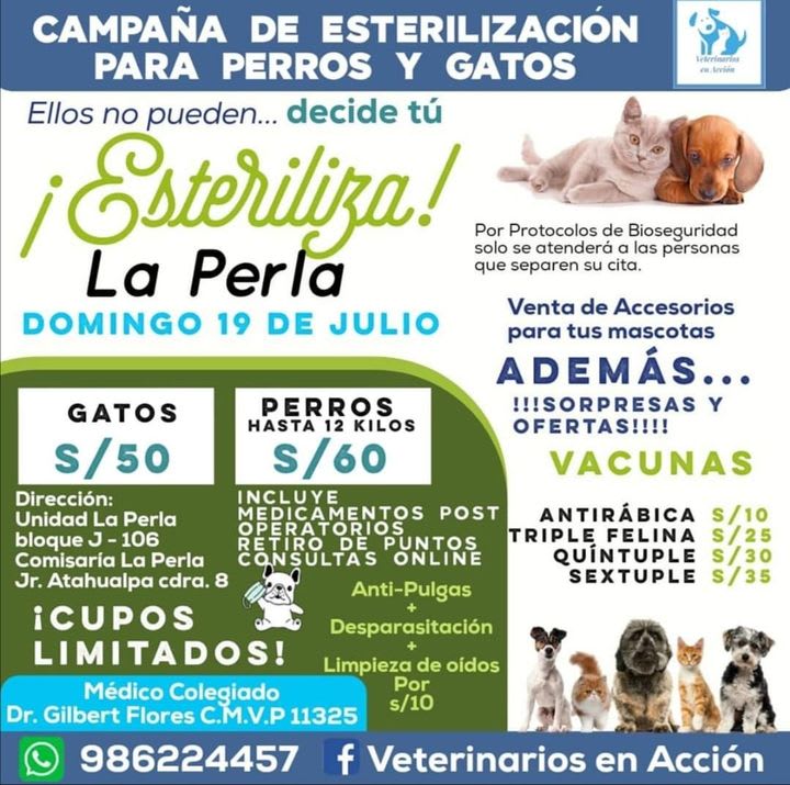 Veterinarias En Sanctorum