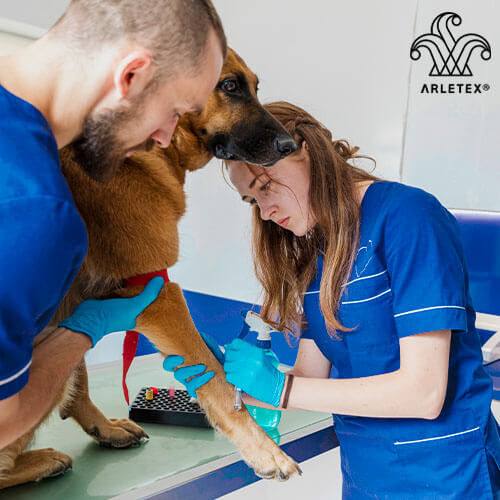 Veterinarias En Santa Ana Chiautempan