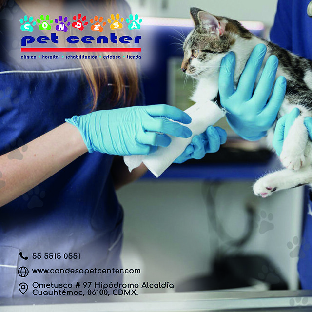 Veterinarias en Sinaloa