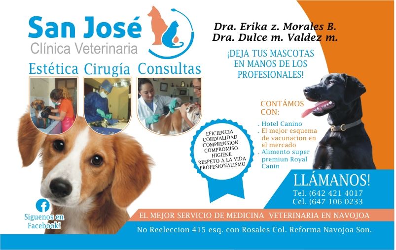 Veterinarias en Sonora