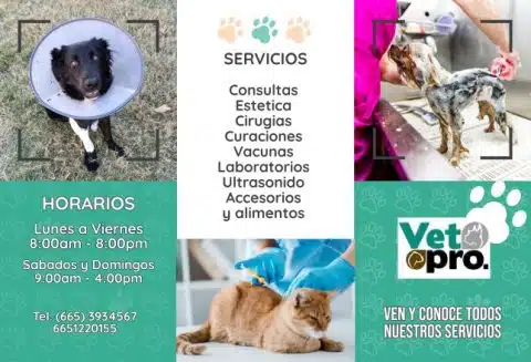 Veterinarias En Tecate