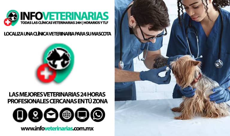 Veterinarias En Tekax De Álvaro Obregón