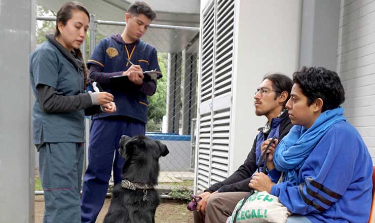 Veterinarias En Teoloyucan