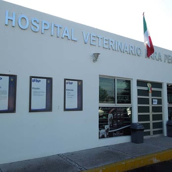 Veterinarias En Tepeaca