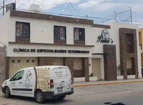 Veterinarias En Torreón