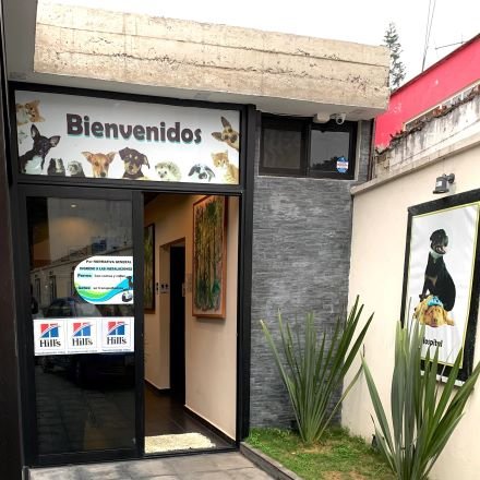 Veterinarias En Veracruz