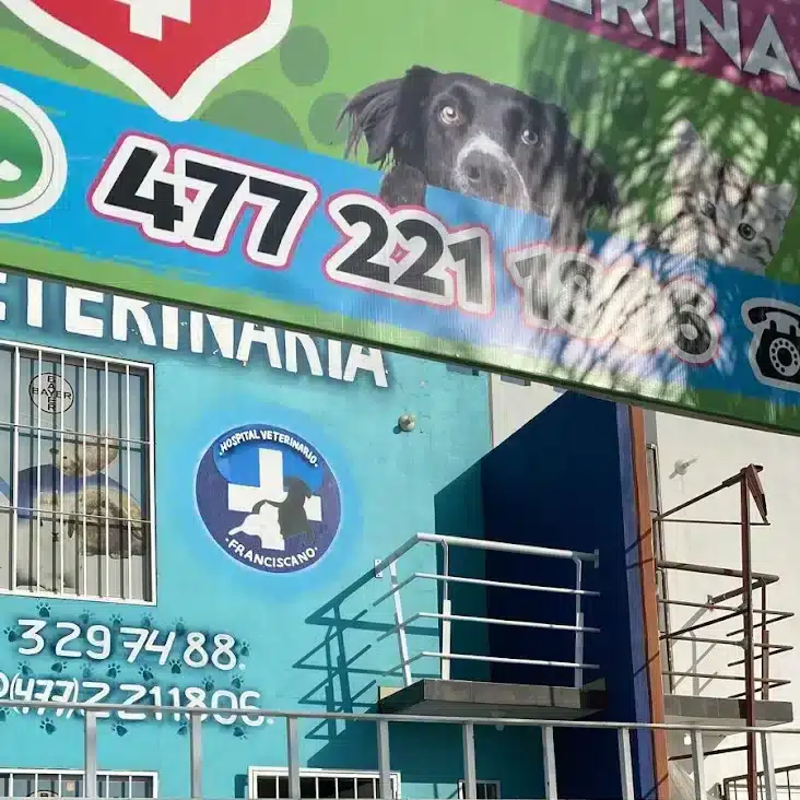 Veterinarias En Villa Aldama