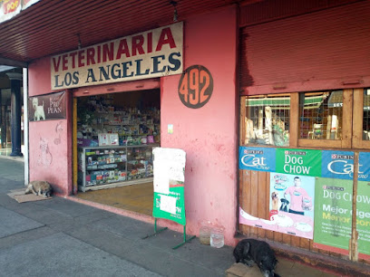 Veterinarias En Villagrán