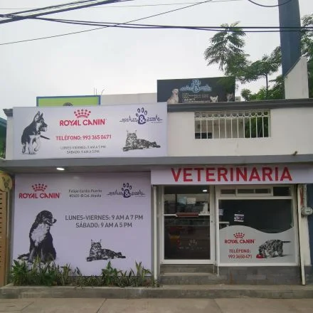 Veterinarias En Villahermosa